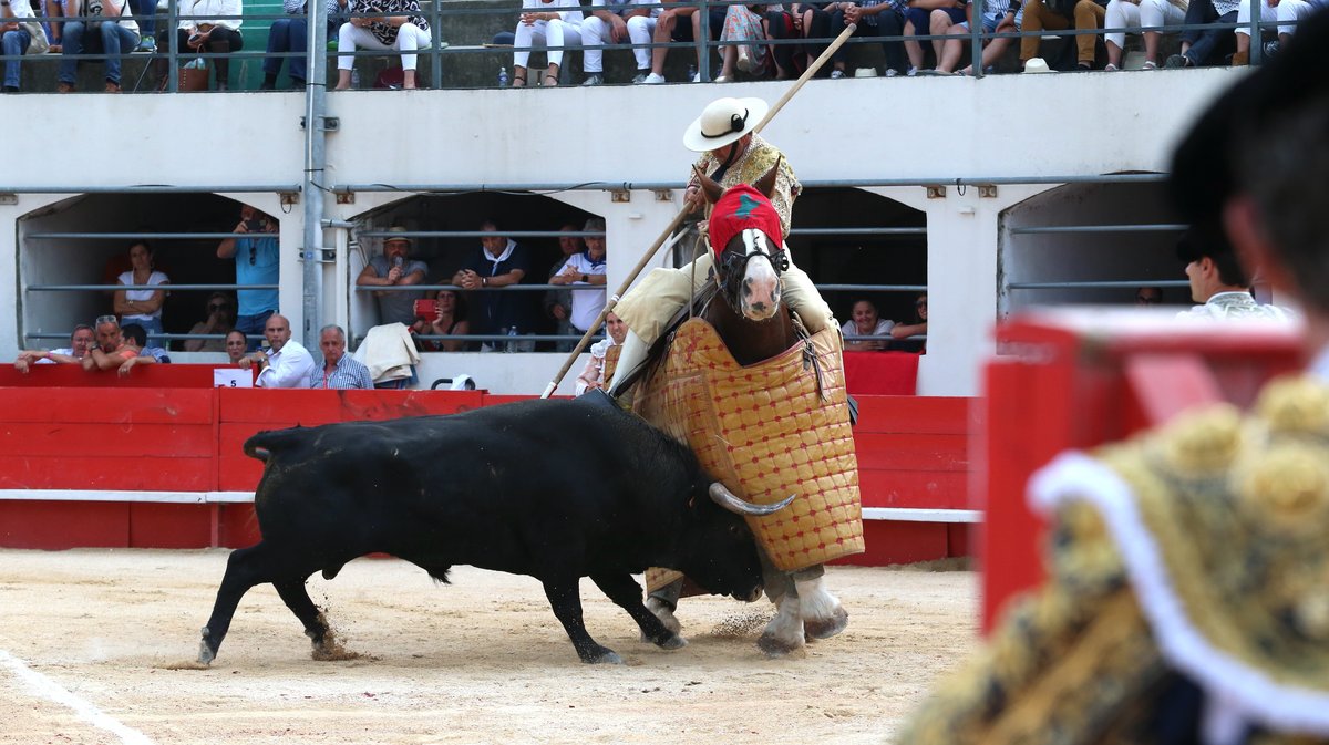 Corrida concours de François André, Curé de Valverde, Yonnet, Tardieu Frères, Barcelo et La Galosina pour l'alternative de Miguel Andrades, Sanchez Vara et Damian Castaño (Photo Anthony Maurin)
