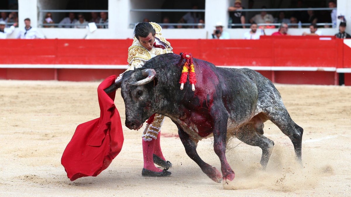 Corrida concours de François André, Curé de Valverde, Yonnet, Tardieu Frères, Barcelo et La Galosina pour l'alternative de Miguel Andrades, Sanchez Vara et Damian Castaño (Photo Anthony Maurin)