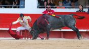 Corrida concours de François André, Curé de Valverde, Yonnet, Tardieu Frères, Barcelo et La Galosina pour l'alternative de Miguel Andrades, Sanchez Vara et Damian Castaño (Photo Anthony Maurin)
