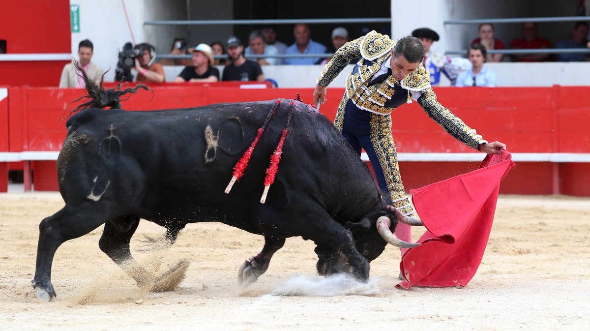 Corrida concours de François André, Curé de Valverde, Yonnet, Tardieu Frères, Barcelo et La Galosina pour l'alternative de Miguel Andrades, Sanchez Vara et Damian Castaño (Photo Anthony Maurin)