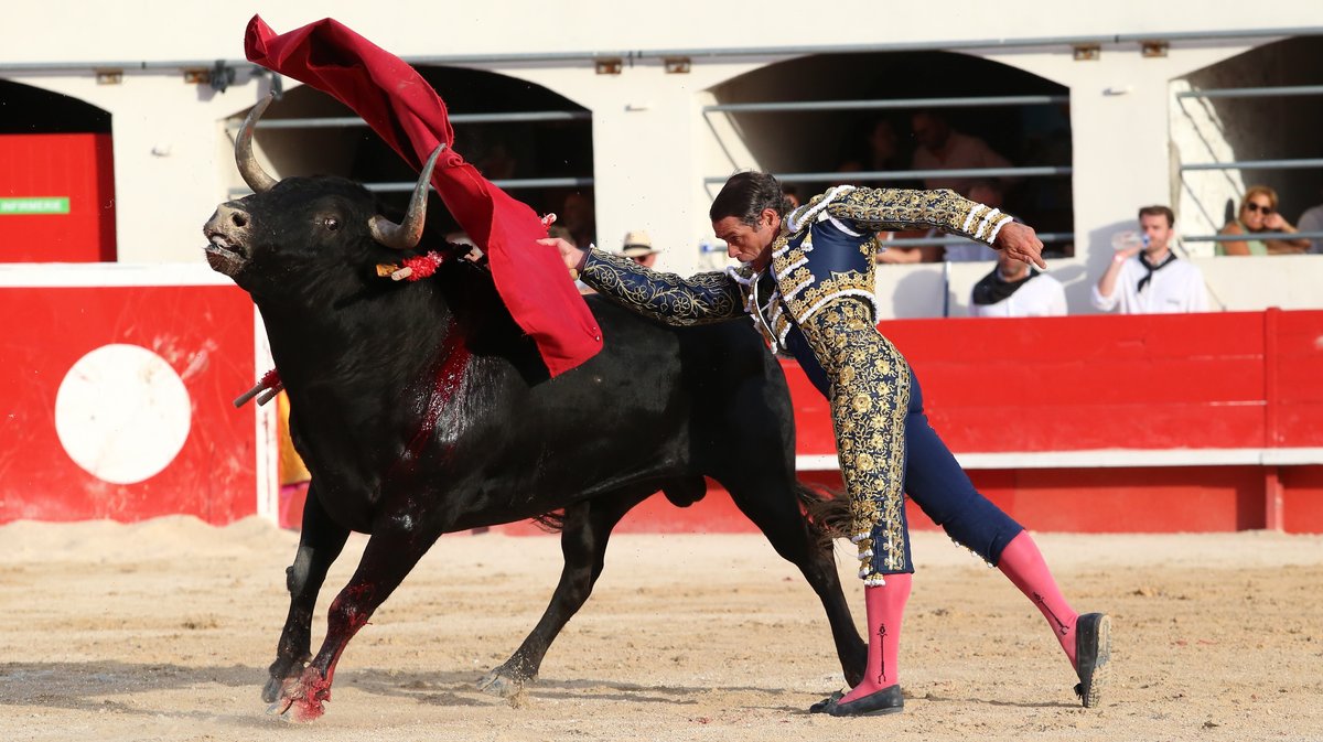 Corrida concours de François André, Curé de Valverde, Yonnet, Tardieu Frères, Barcelo et La Galosina pour l'alternative de Miguel Andrades, Sanchez Vara et Damian Castaño (Photo Anthony Maurin)