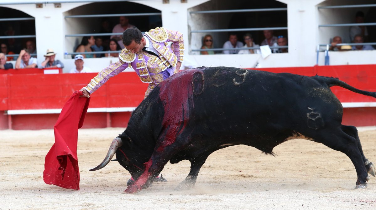 Corrida concours de François André, Curé de Valverde, Yonnet, Tardieu Frères, Barcelo et La Galosina pour l'alternative de Miguel Andrades, Sanchez Vara et Damian Castaño (Photo Anthony Maurin)