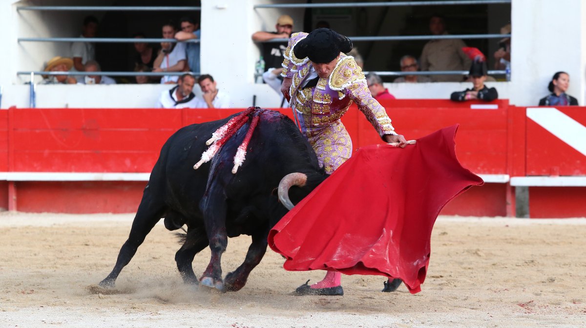 Corrida concours de François André, Curé de Valverde, Yonnet, Tardieu Frères, Barcelo et La Galosina pour l'alternative de Miguel Andrades, Sanchez Vara et Damian Castaño (Photo Anthony Maurin)