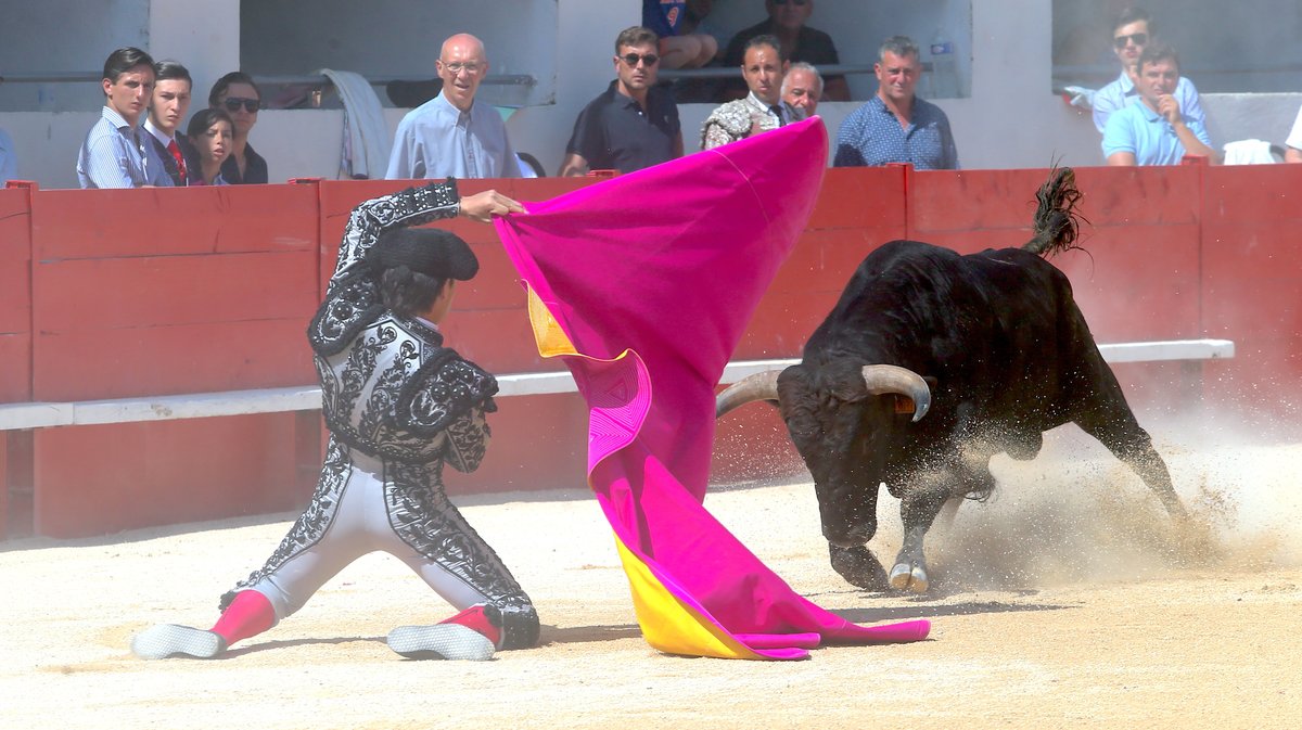 Novillada sans picador de Roland Durand, Barcelo et La Suerte pour Santiago Lopez Ortega, Isaac Galvin, Manuel Fuentes, Bautista Angosto, Matias (Photo Anthony Maurin)