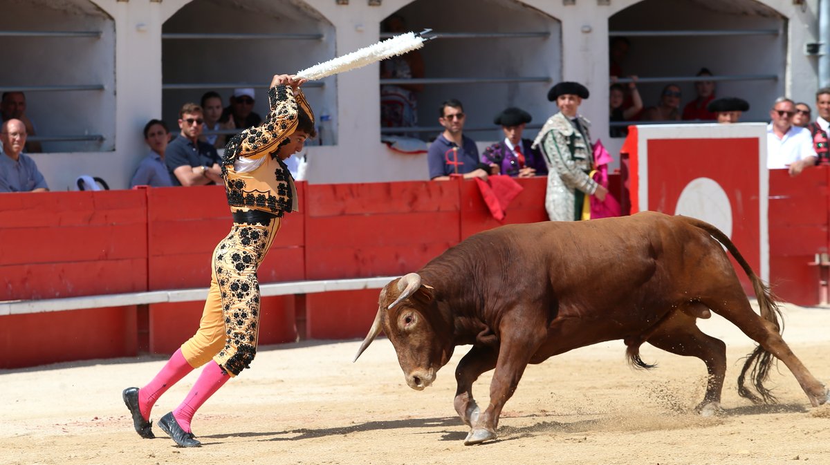 Novillada sans picador de Roland Durand, Barcelo et La Suerte pour Santiago Lopez Ortega, Isaac Galvin, Manuel Fuentes, Bautista Angosto, Matias (Photo Anthony Maurin)