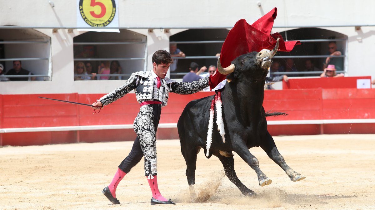 Novillada sans picador de Roland Durand, Barcelo et La Suerte pour Santiago Lopez Ortega, Isaac Galvin, Manuel Fuentes, Bautista Angosto, Matias (Photo Anthony Maurin)