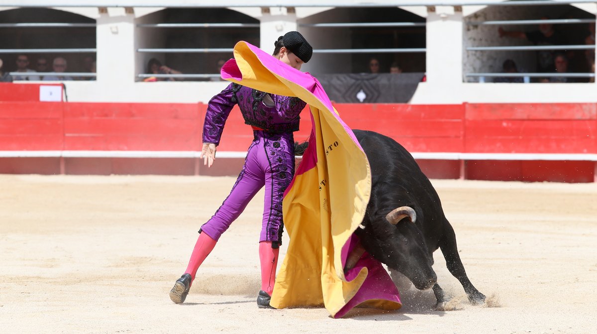 Novillada sans picador de Roland Durand, Barcelo et La Suerte pour Santiago Lopez Ortega, Isaac Galvin, Manuel Fuentes, Bautista Angosto, Matias (Photo Anthony Maurin)