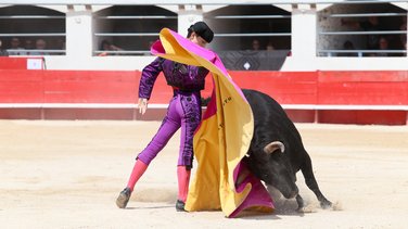 Novillada sans picador de Roland Durand, Barcelo et La Suerte pour Santiago Lopez Ortega, Isaac Galvin, Manuel Fuentes, Bautista Angosto, Matias (Photo Anthony Maurin)