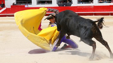 Novillada sans picador de Roland Durand, Barcelo et La Suerte pour Santiago Lopez Ortega, Isaac Galvin, Manuel Fuentes, Bautista Angosto, Matias (Photo Anthony Maurin)