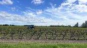 Agriculture gastronomie produits Gard (Photo Archives Anthony Maurin)
