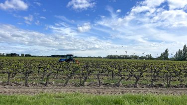 Agriculture gastronomie produits Gard (Photo Archives Anthony Maurin)