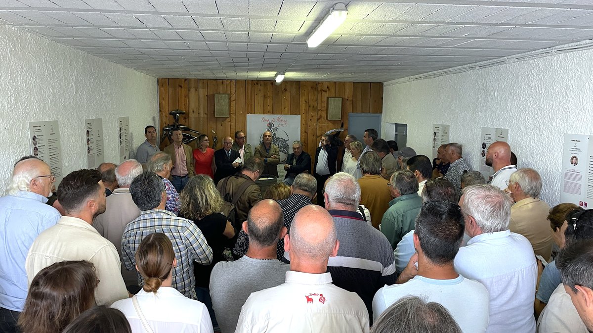 Présentation toros feria de Nîmes Pentecôte 2025 (Photo Anthony Maurin)