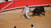 Course Camarguaise Feria 2025
