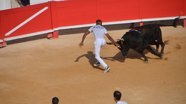 Course Camarguaise Feria 2025