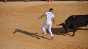 Course Camarguaise Feria 2025