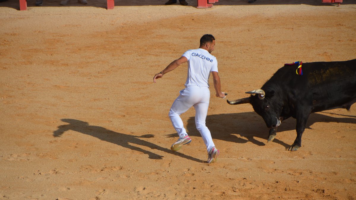 Course Camarguaise Feria 2025