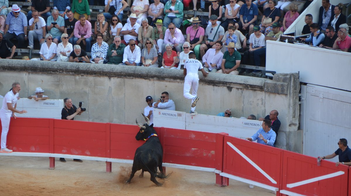 Course Camarguaise Feria 2025