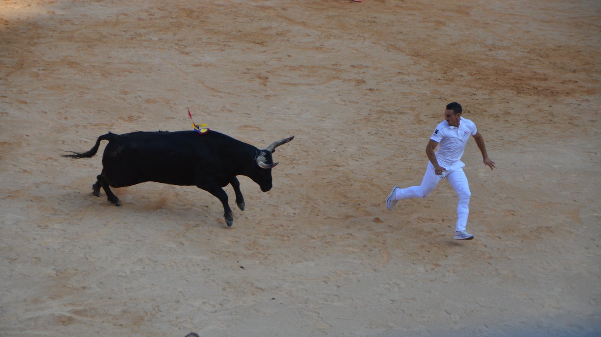 Course Camarguaise Feria 2025