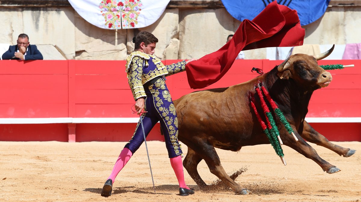 Novillada sans picadors de La Paluna pour Javier Cuartero, Mathias Sauvaire, Clovis et Israel Guirao (Photo Anthony Maurin)