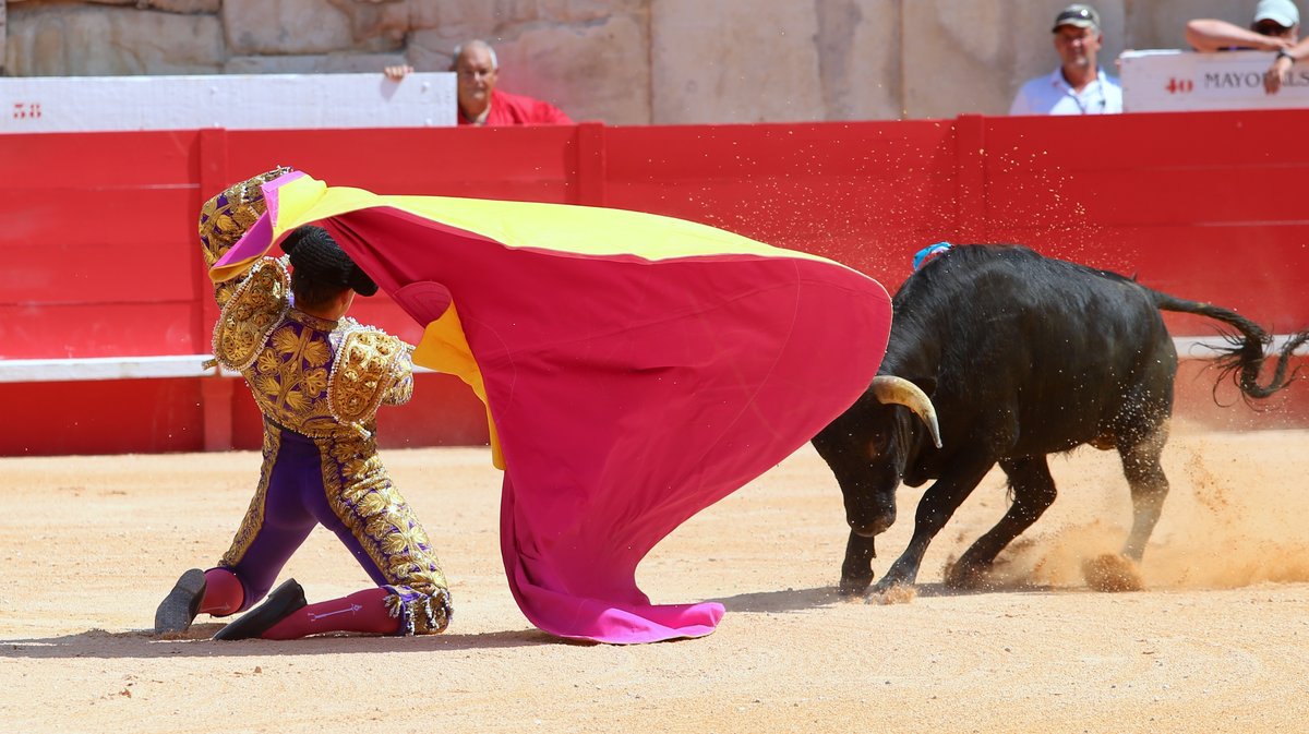 Novillada sans picadors de La Paluna pour Javier Cuartero, Mathias Sauvaire, Clovis et Israel Guirao (Photo Anthony Maurin)