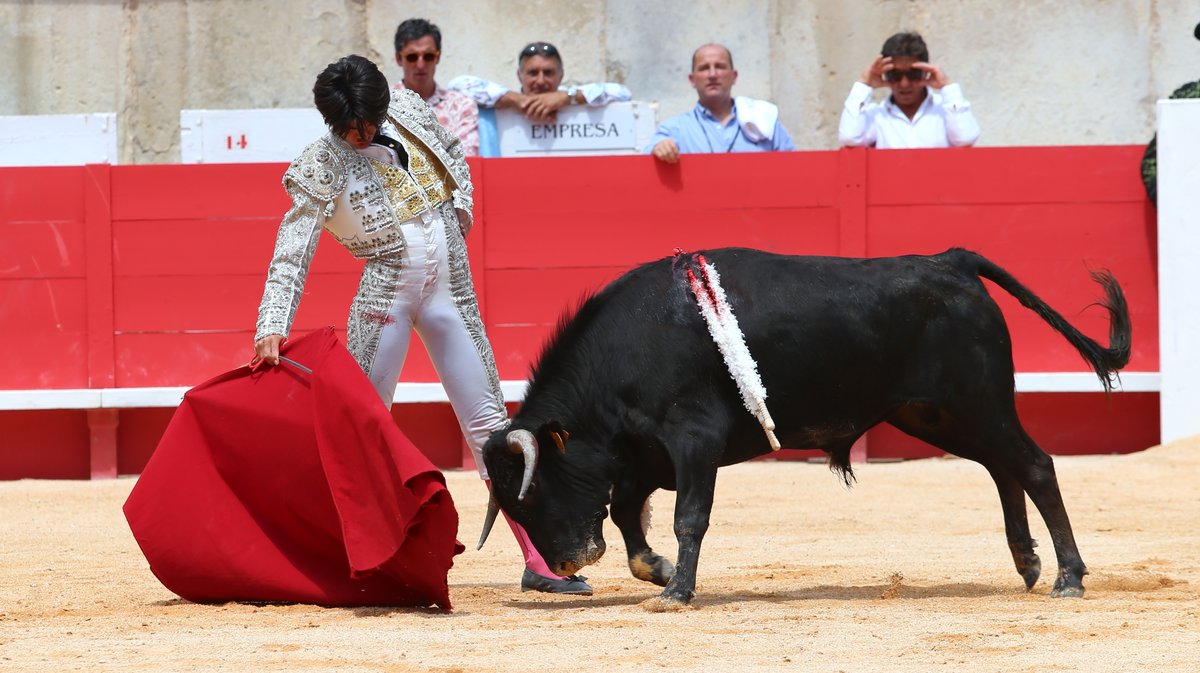 Novillada sans picadors de La Paluna pour Javier Cuartero, Mathias Sauvaire, Clovis et Israel Guirao (Photo Anthony Maurin)