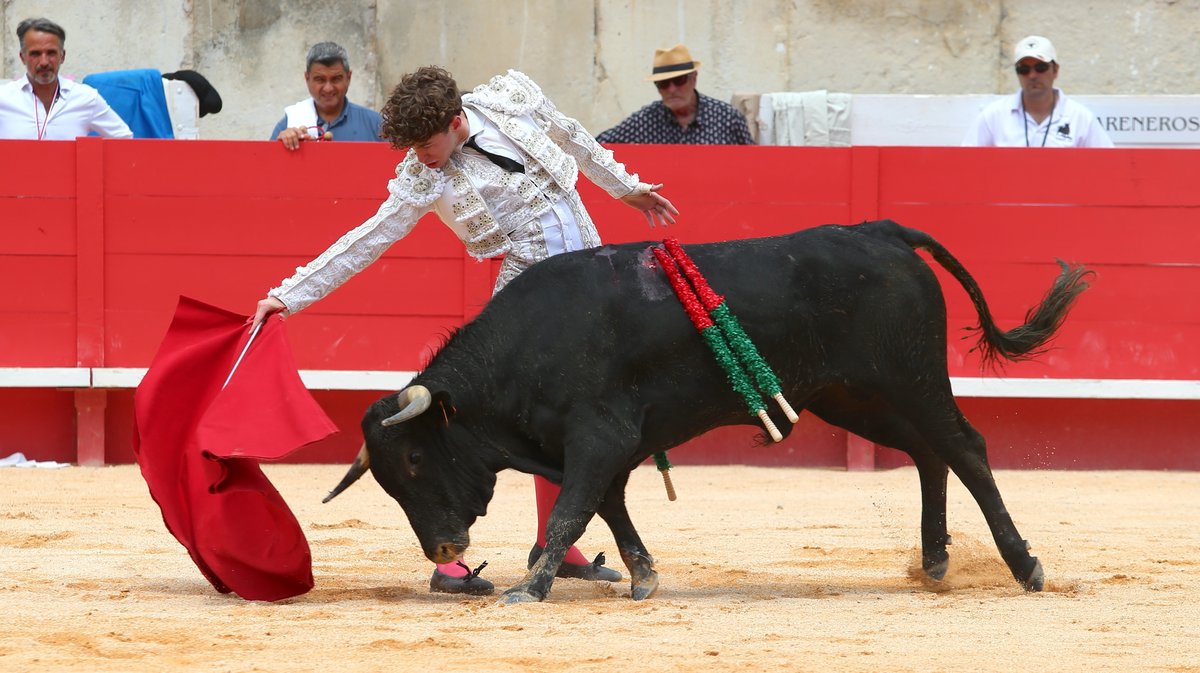 Novillada sans picadors de La Paluna pour Javier Cuartero, Mathias Sauvaire, Clovis et Israel Guirao (Photo Anthony Maurin)