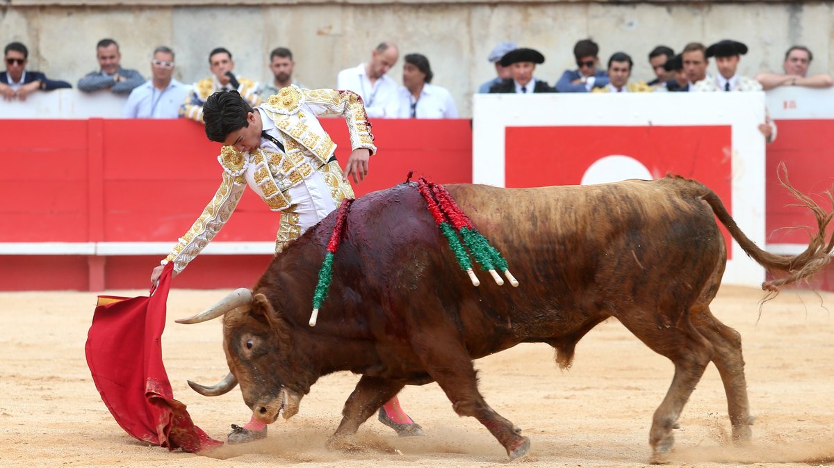 Corrida de Garcigrande pour l'alternative de Marco Pérez, Morante de la Puebla et Alejandro Talavante (Photo Anthony Maurin)