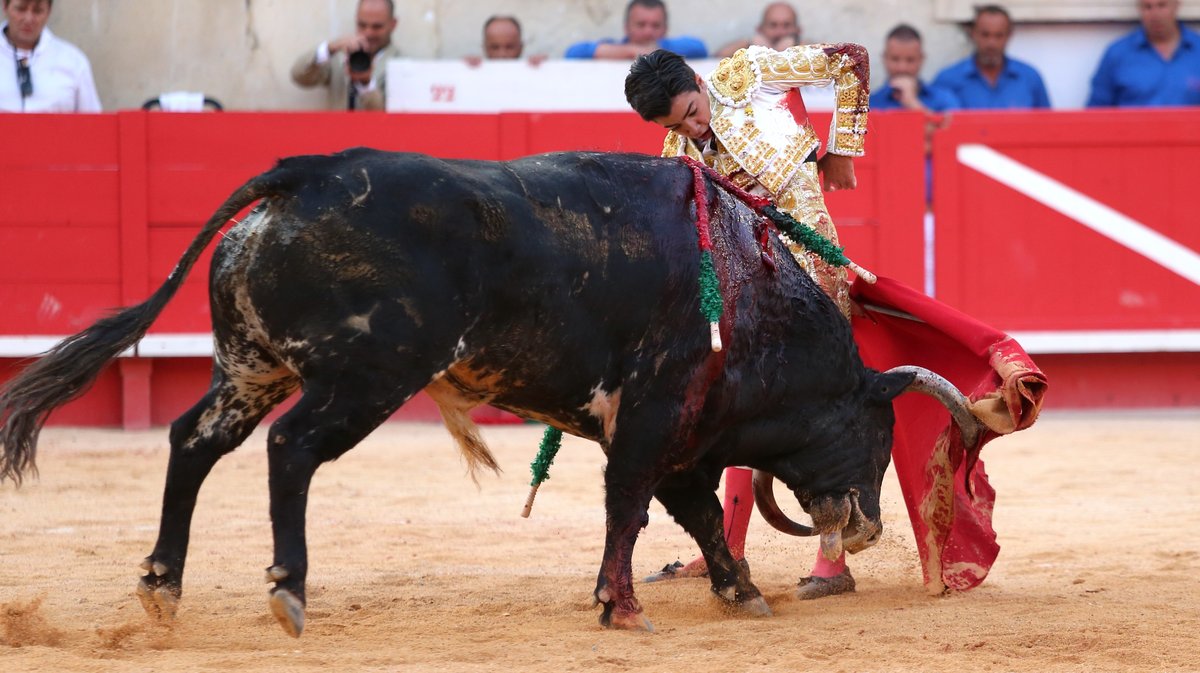Corrida de Garcigrande pour l'alternative de Marco Pérez, Morante de la Puebla et Alejandro Talavante (Photo Anthony Maurin)