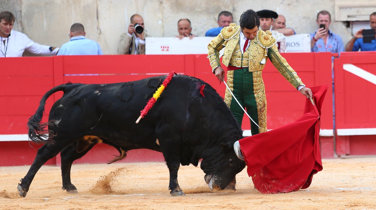 Corrida de Garcigrande pour l'alternative de Marco Pérez, Morante de la Puebla et Alejandro Talavante (Photo Anthony Maurin)