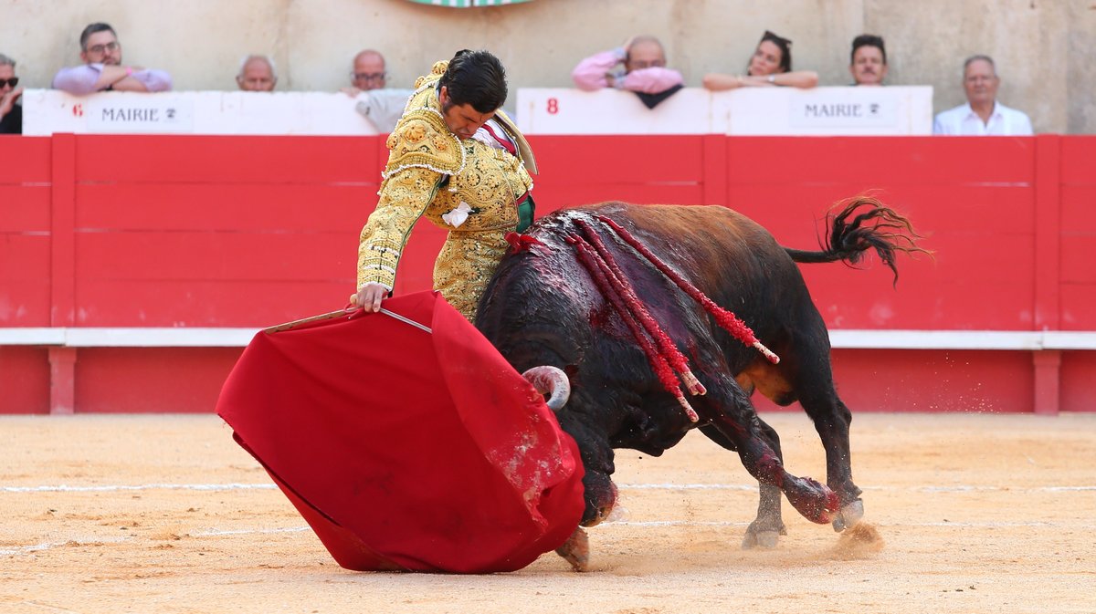 Corrida de Garcigrande pour l'alternative de Marco Pérez, Morante de la Puebla et Alejandro Talavante (Photo Anthony Maurin)