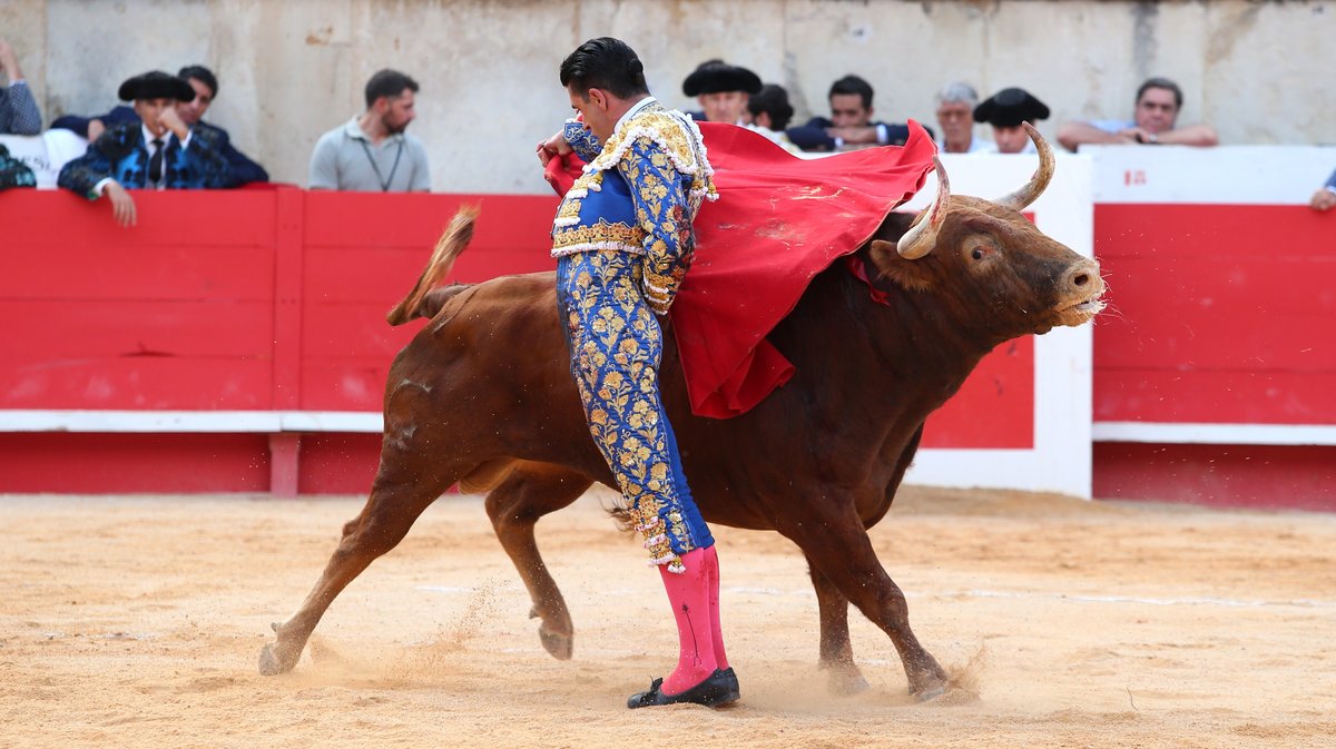Corrida de Garcigrande pour l'alternative de Marco Pérez, Morante de la Puebla et Alejandro Talavante (Photo Anthony Maurin)