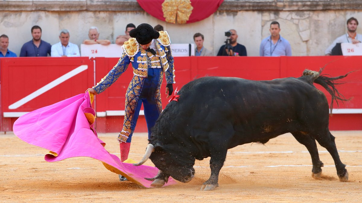 Corrida de Garcigrande pour l'alternative de Marco Pérez, Morante de la Puebla et Alejandro Talavante (Photo Anthony Maurin)