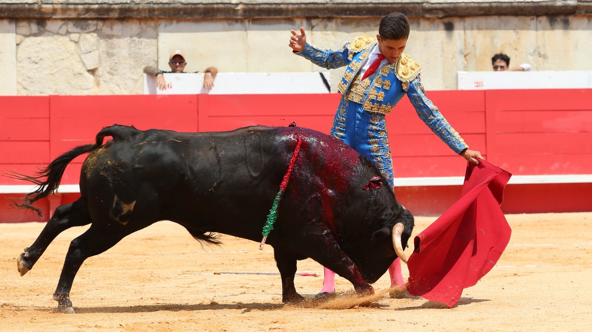 Novillada de la Cape d'Or de Talavante pour Eduardo Neyra, Tomas Bastos et Victor (Photo Anthony Maurin)