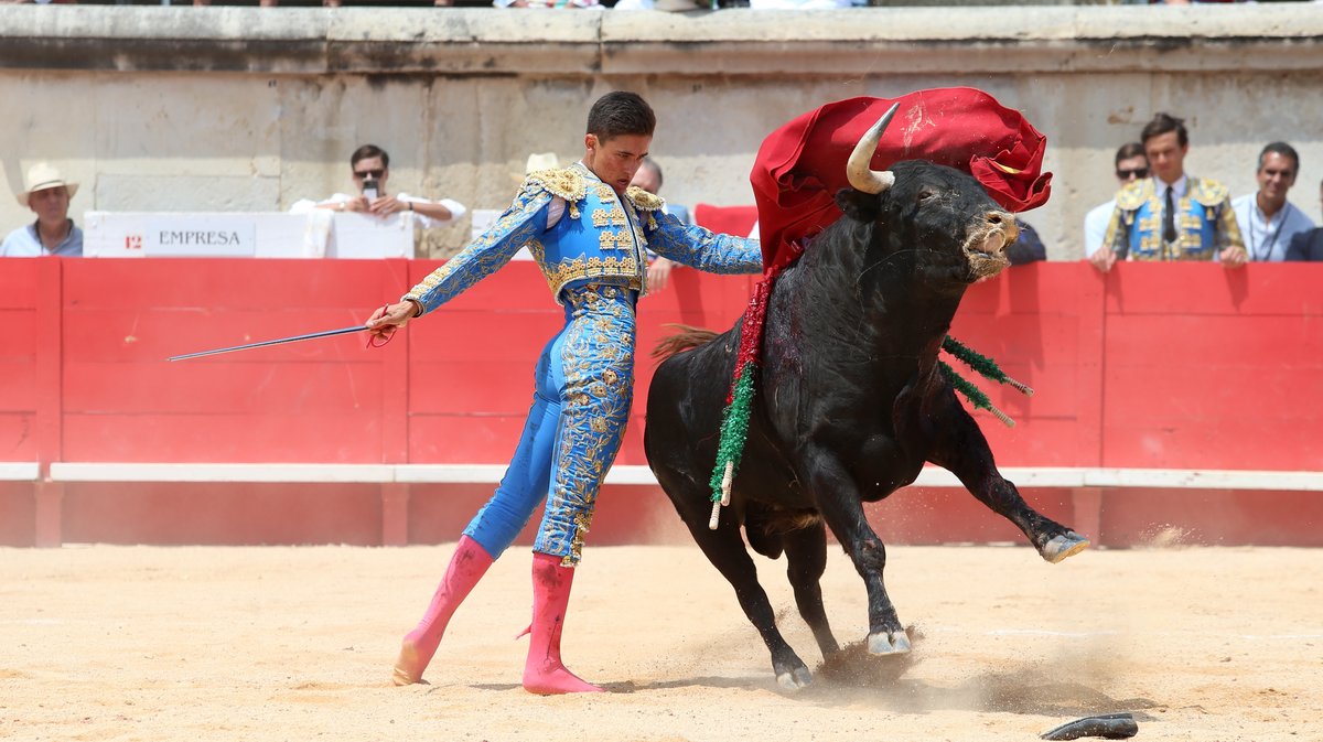 Novillada de la Cape d'Or de Talavante pour Eduardo Neyra, Tomas Bastos et Victor (Photo Anthony Maurin)