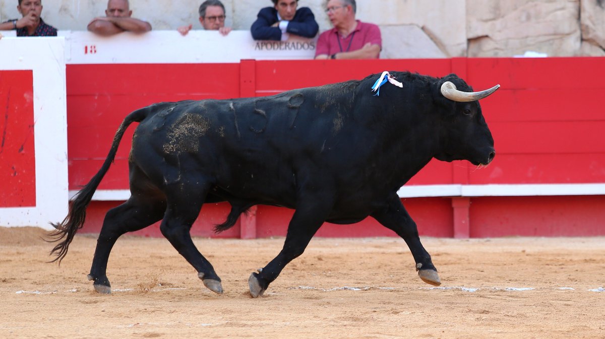 4Corrida de Garcia Jimenez pour Sébastien Castella, Jose Maria Manzanares et Lalo de Maria (Photo Anthony Maurin)