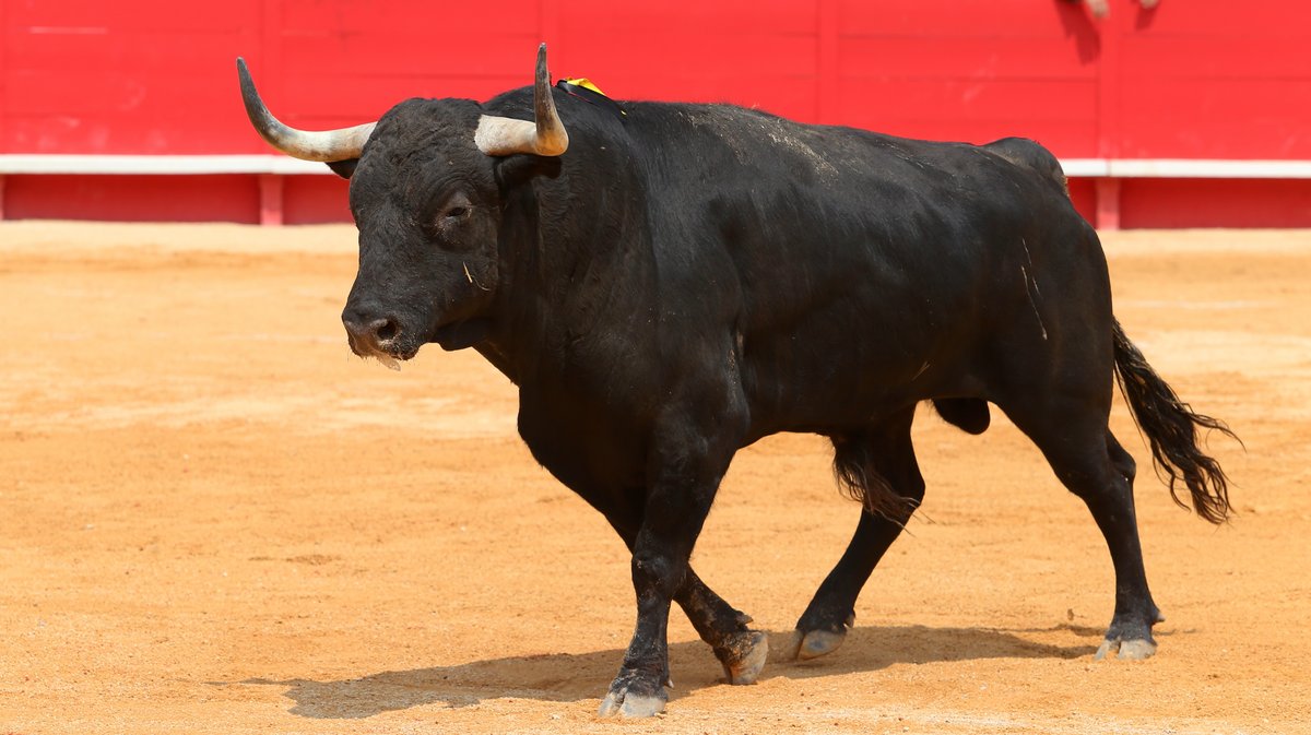 Corrida de Victoriano del Rio pour Daniel Luque, Juan Ortega et Clemente (Photo Anthony Maurin)