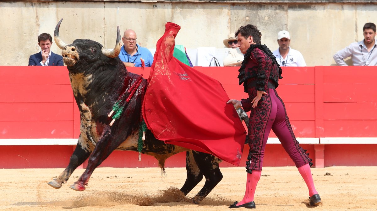 Corrida de Victoriano del Rio pour Daniel Luque, Juan Ortega et Clemente (Photo Anthony Maurin)