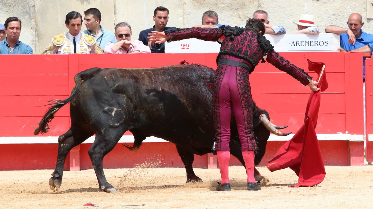 Corrida de Victoriano del Rio pour Daniel Luque, Juan Ortega et Clemente (Photo Anthony Maurin)