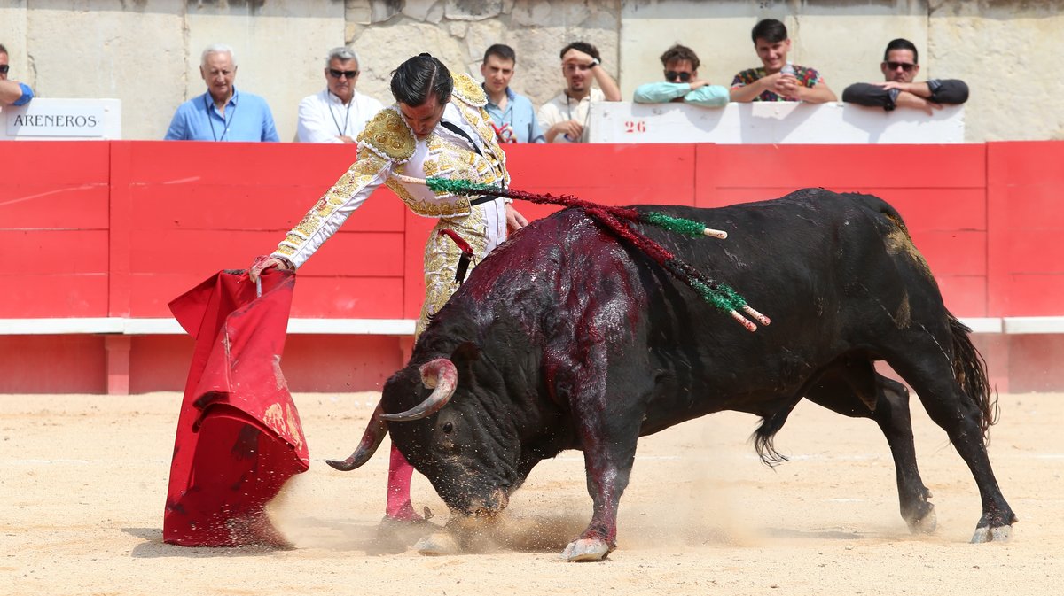 Corrida de Victoriano del Rio pour Daniel Luque, Juan Ortega et Clemente (Photo Anthony Maurin)