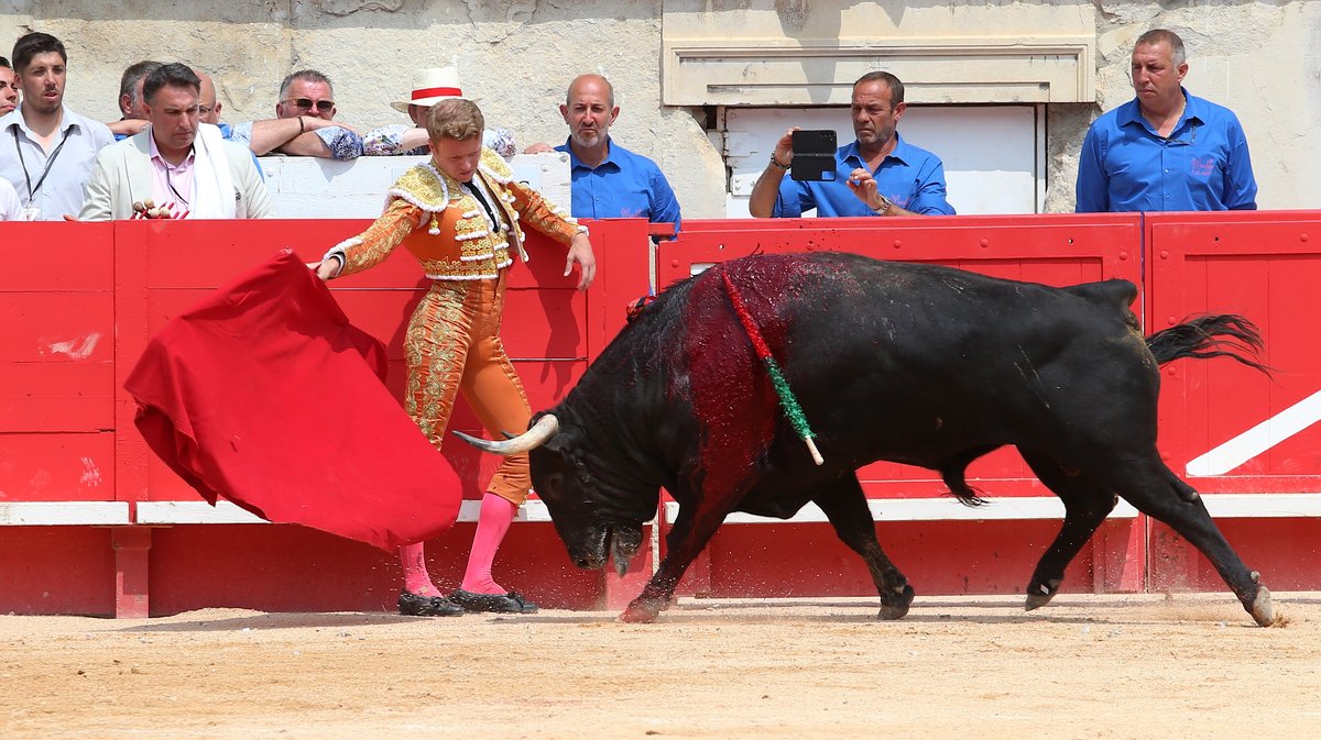 Corrida de Victoriano del Rio pour Daniel Luque, Juan Ortega et Clemente (Photo Anthony Maurin)