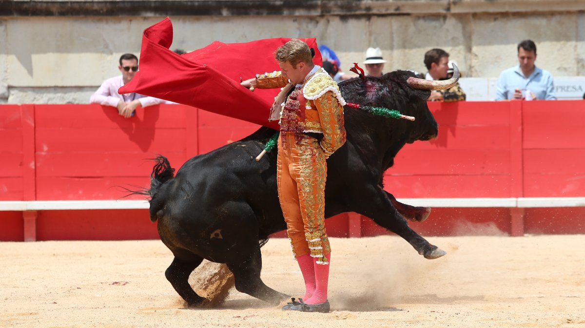 5Corrida de Victoriano del Rio pour Daniel Luque, Juan Ortega et Clemente (Photo Anthony Maurin)
