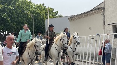 Feria à Caissargues