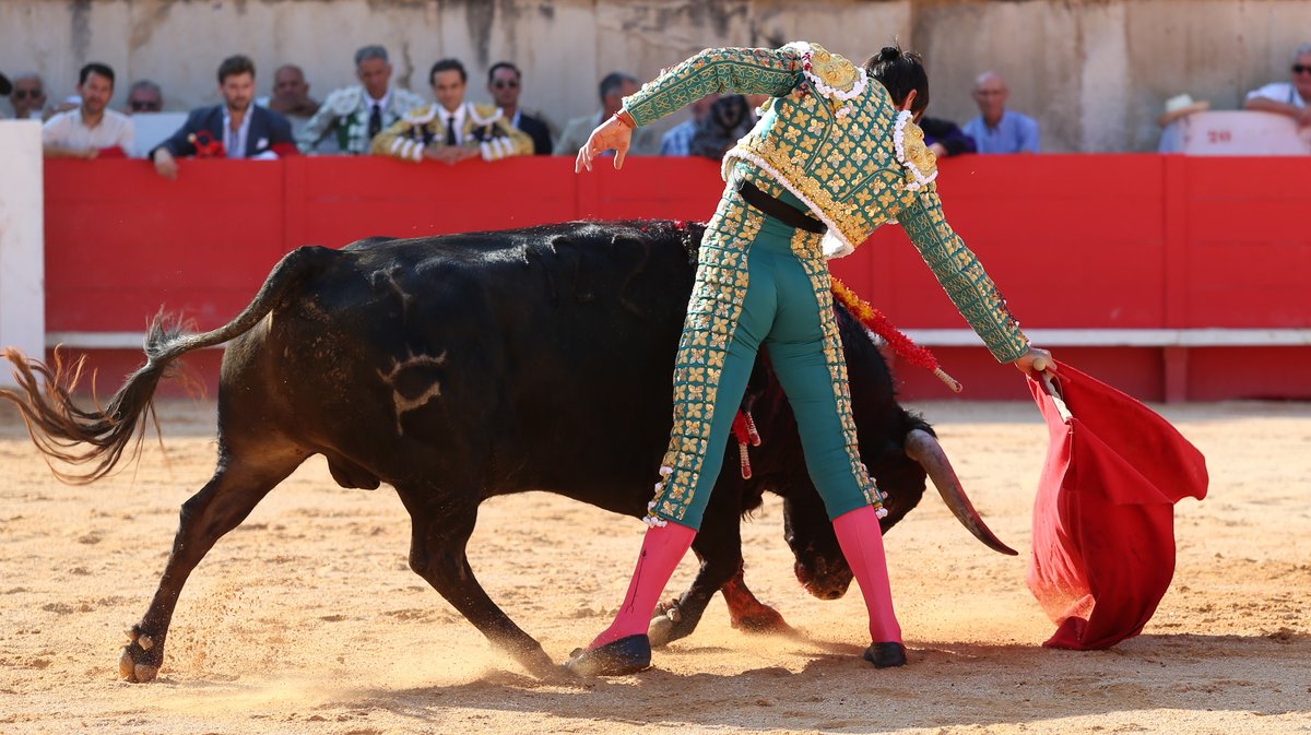 6Corrida de Robert Margé pour Miguel Angel Perera, Juan Pablo Sanchez et Clemente (Photo Anthony Maurin)