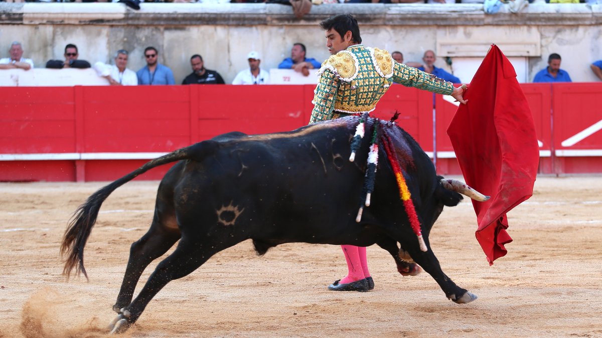 6Corrida de Robert Margé pour Miguel Angel Perera, Juan Pablo Sanchez et Clemente (Photo Anthony Maurin)