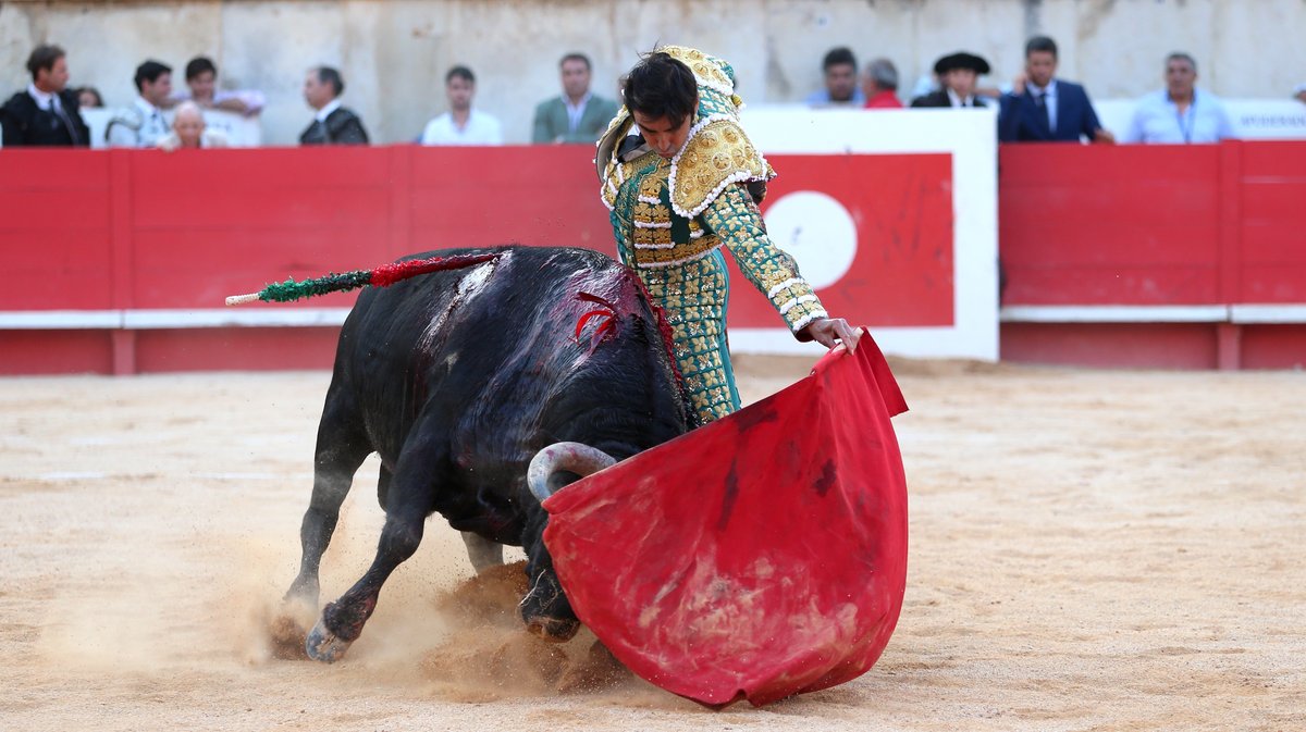6Corrida de Robert Margé pour Miguel Angel Perera, Juan Pablo Sanchez et Clemente (Photo Anthony Maurin)