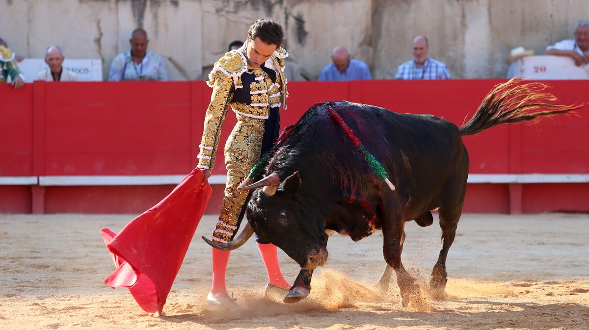 6Corrida de Robert Margé pour Miguel Angel Perera, Juan Pablo Sanchez et Clemente (Photo Anthony Maurin)