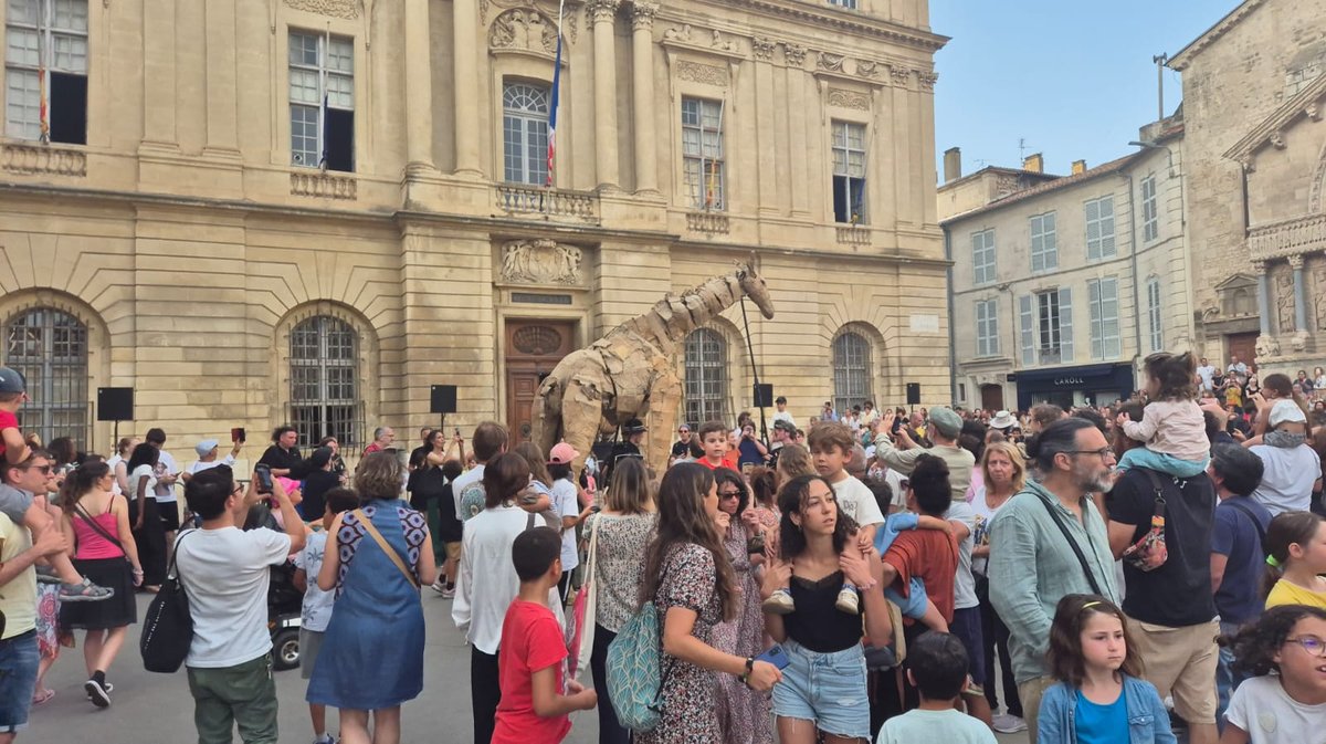 Arles, The Herds