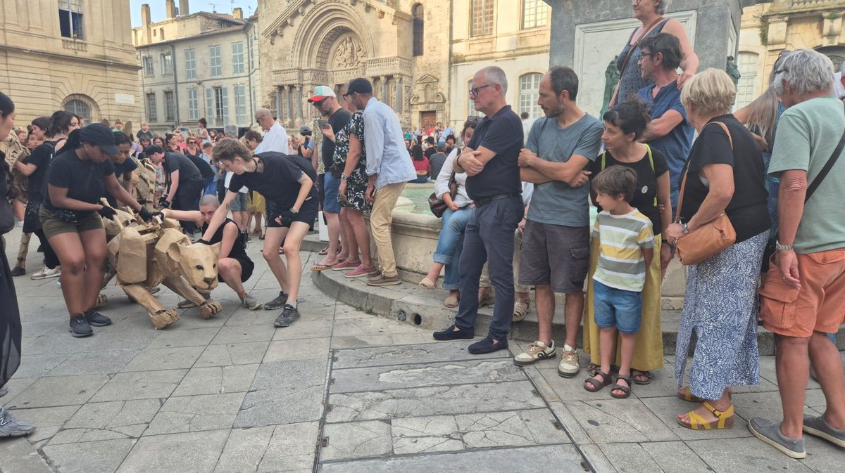 Arles, The Herds