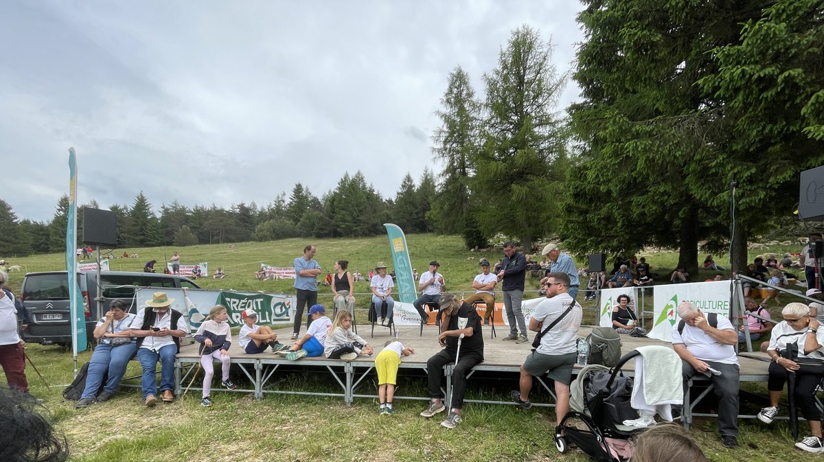 Transhumance 2025