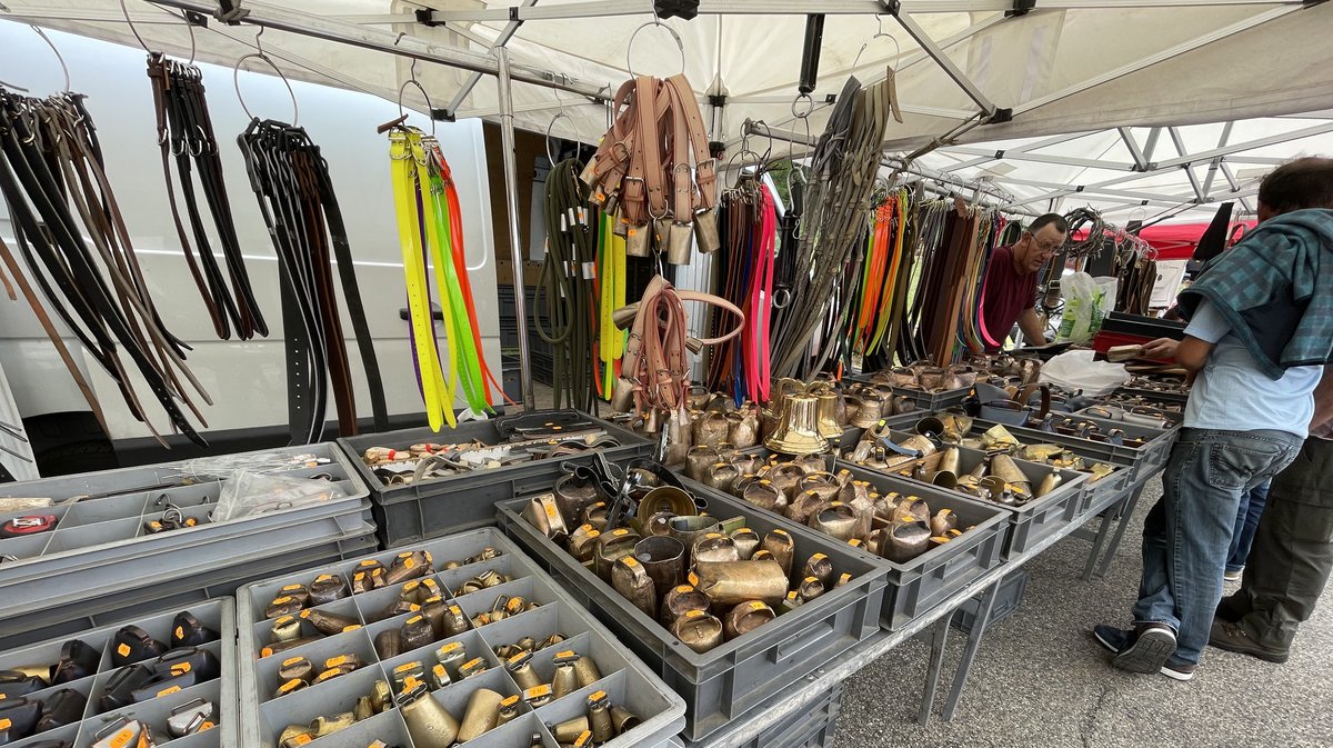 Transhumance 2025